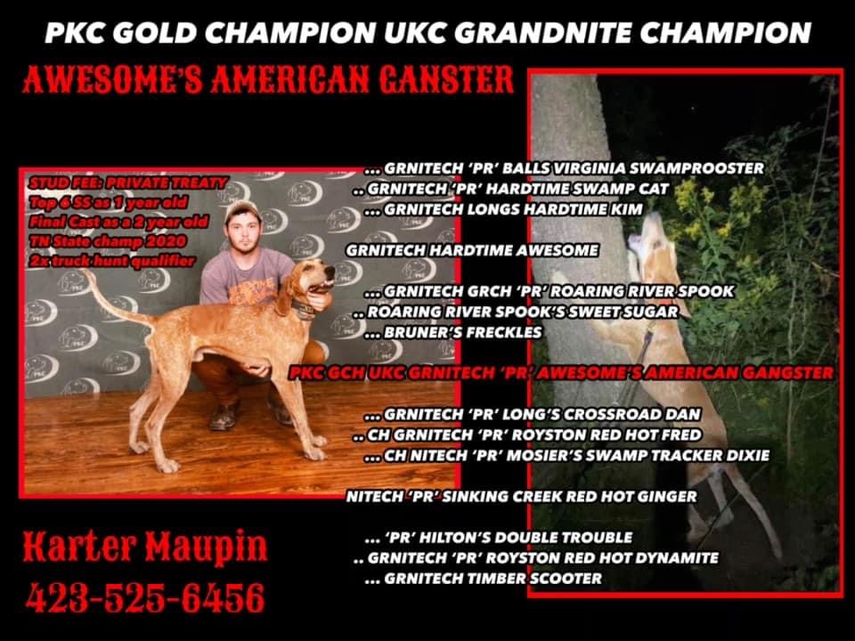 ukc classified