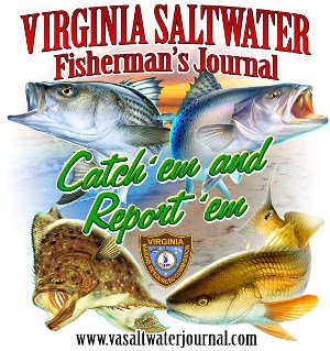 va saltwater fishing regs