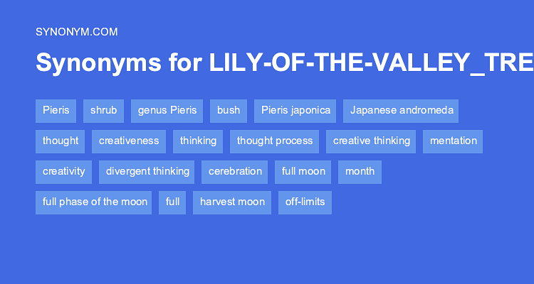 valley synonyms