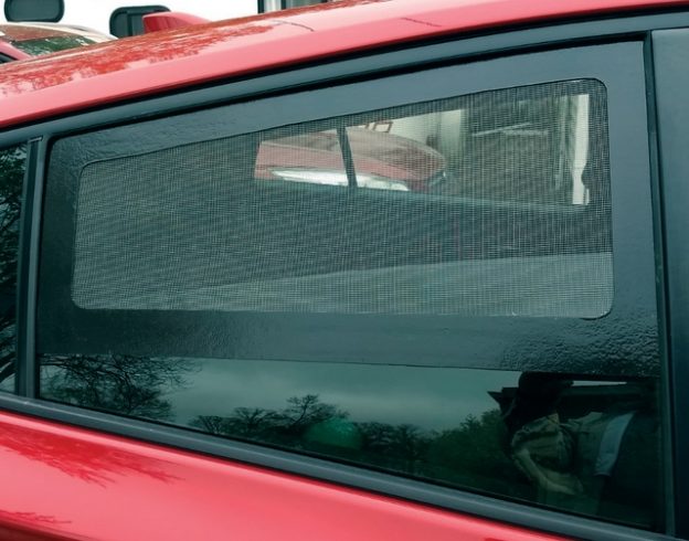 vehicle window screen