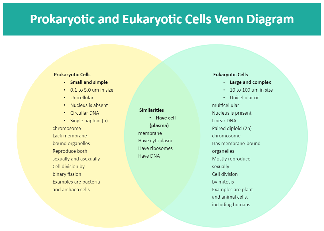 venn diagram for prokaryotes and eukaryotes