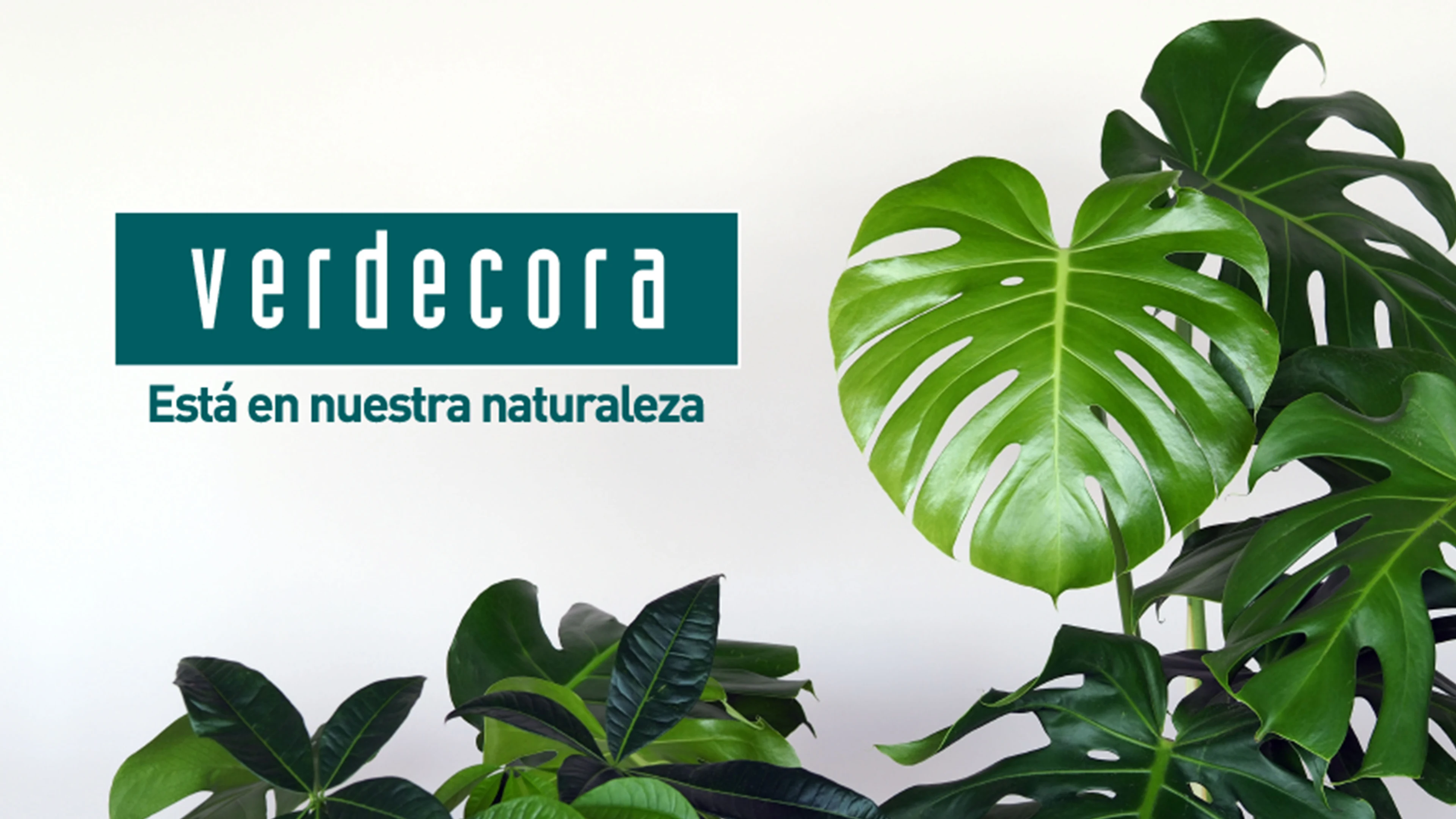 verdecora