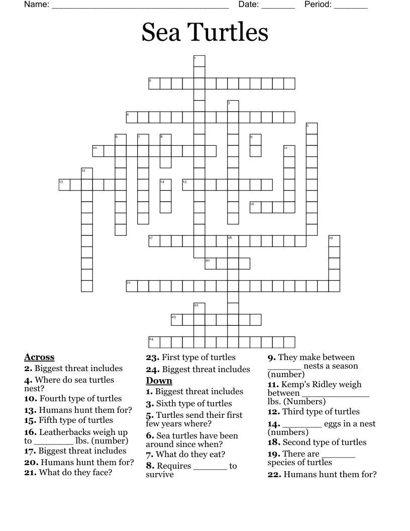 very large turtle crossword clue