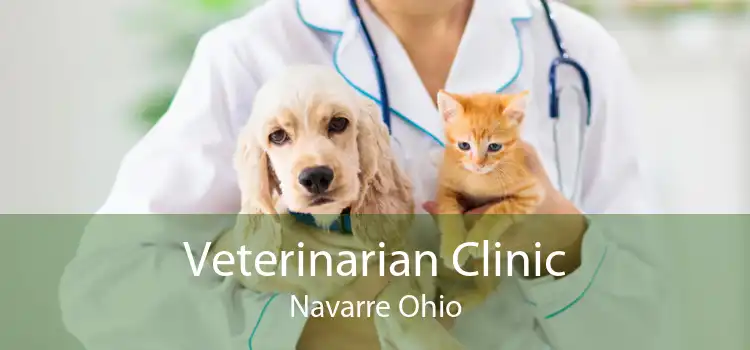 veterinarian navarre ohio