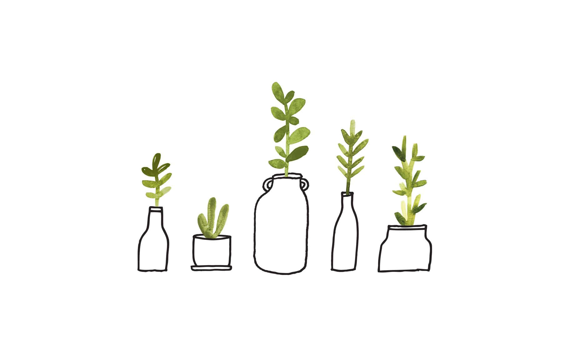 wallpaper plants minimalist