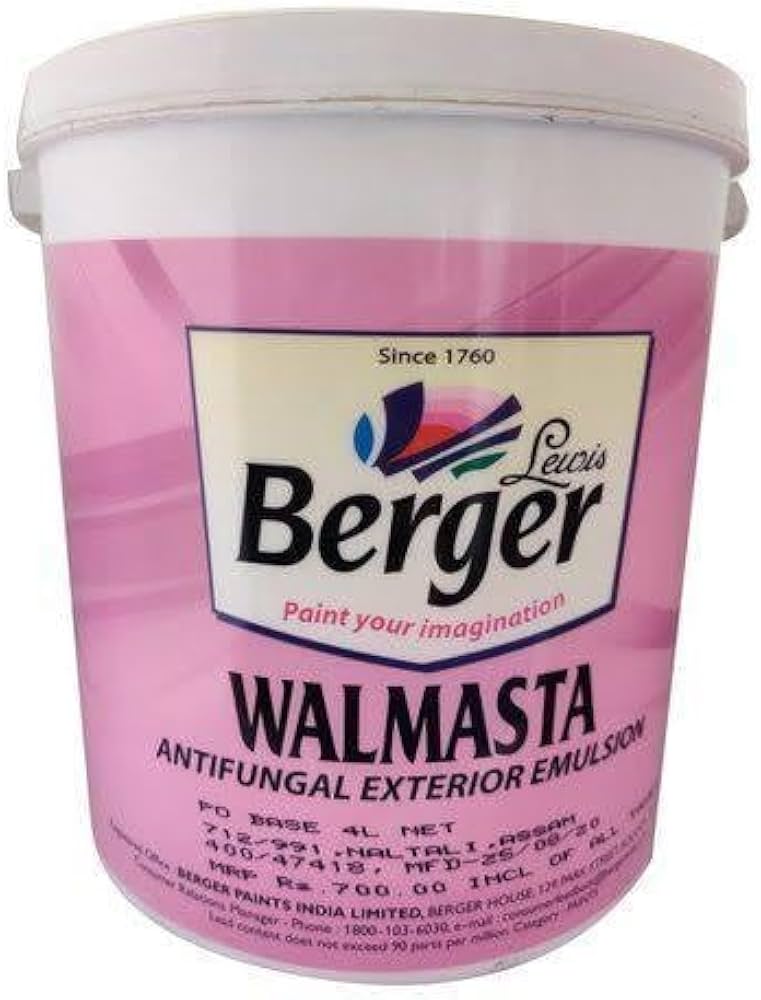 walmasta paint price