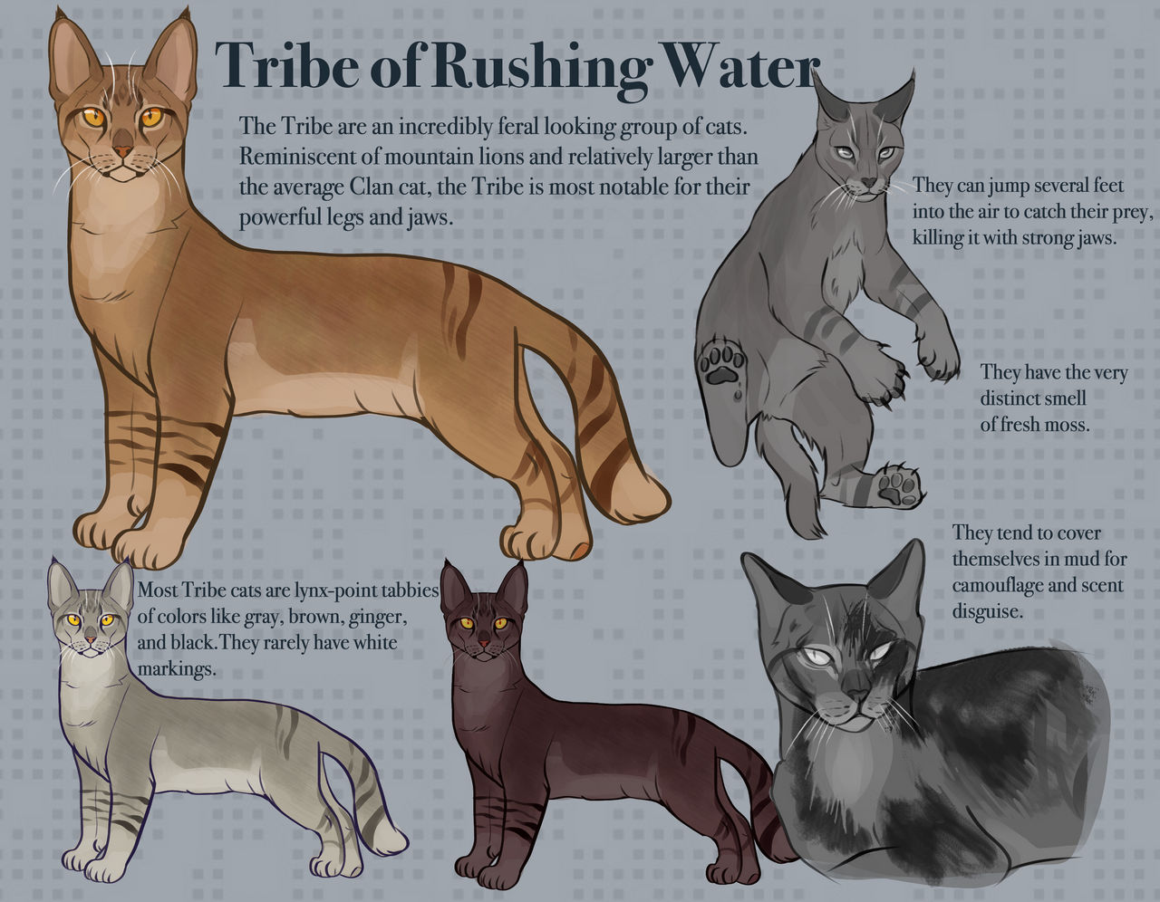 warrior cat tribe names