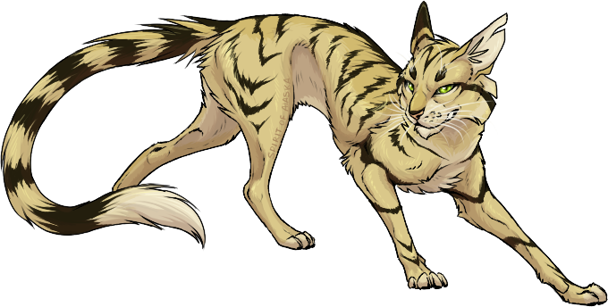 warrior cats longtail