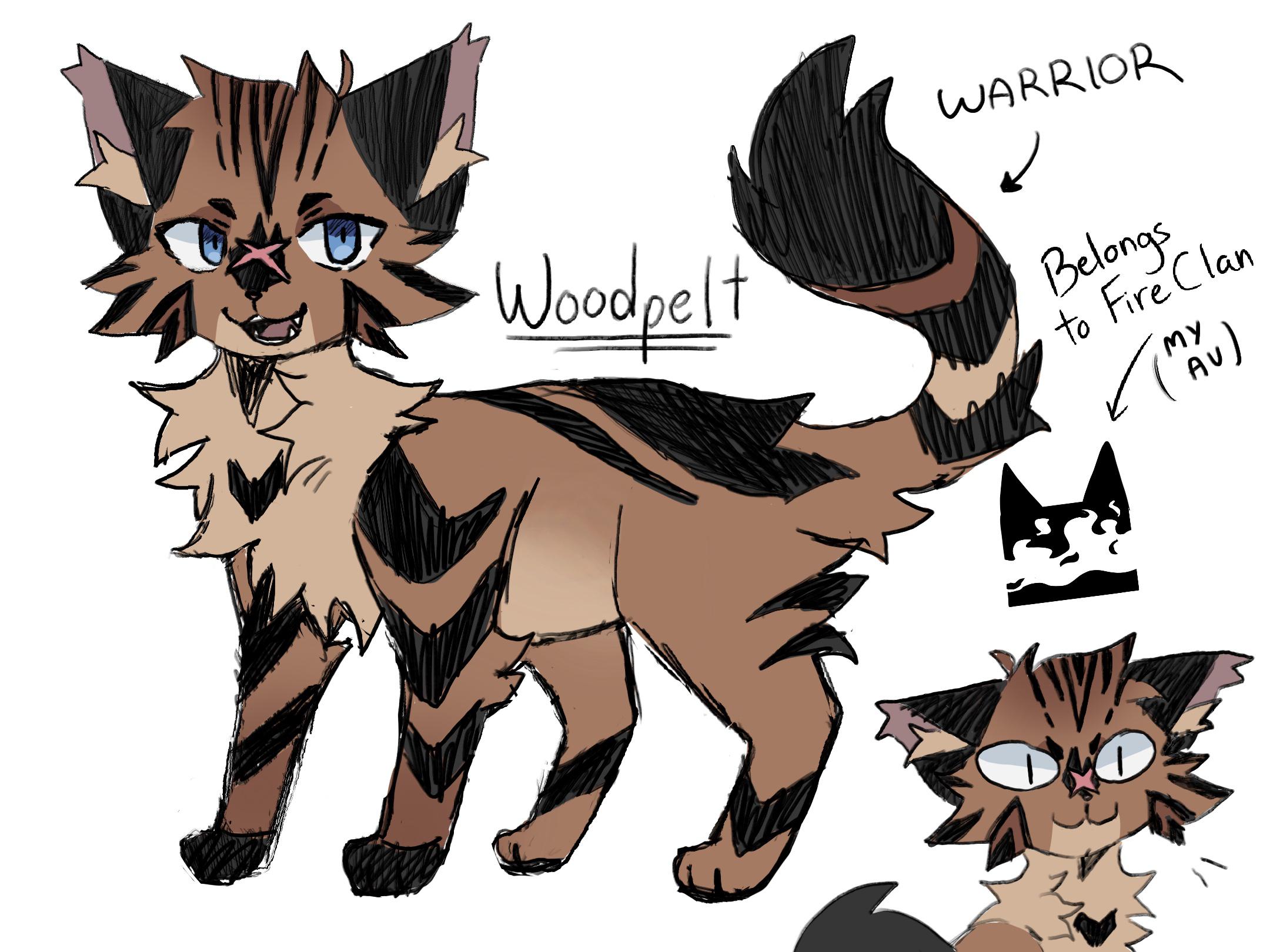 warrior cats