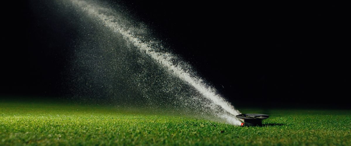 watering grass at night myth