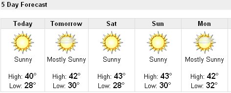 weather report delhi 10 days