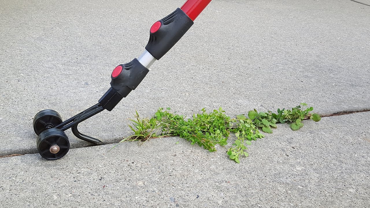 weeding tools for driveway