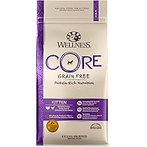 wellness core grain-free original formula dry cat food