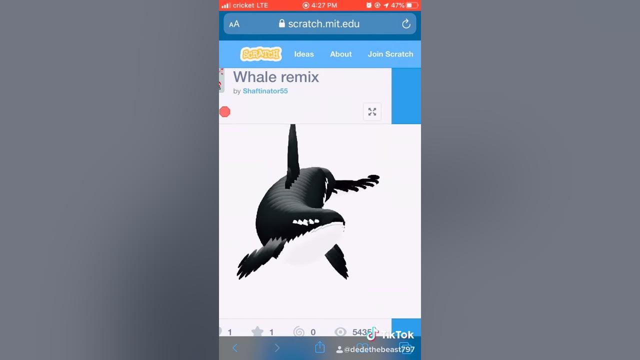 whale follows mouse remix