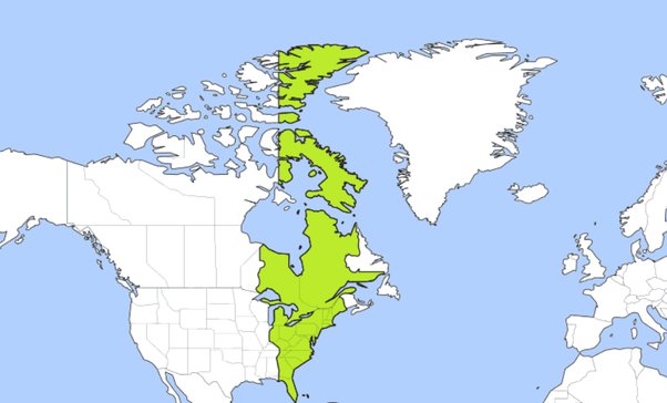 what is et time zone