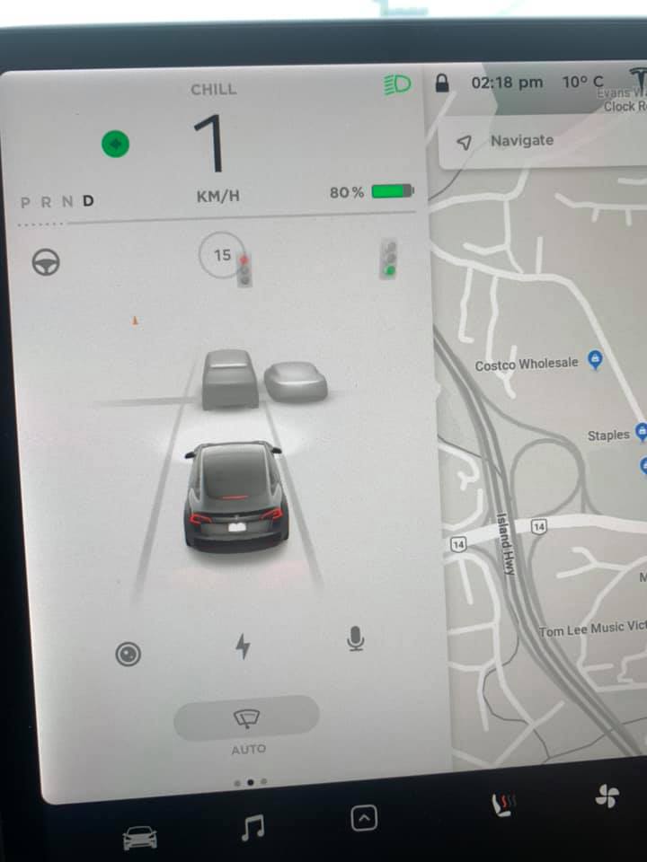 what is full self driving visualization preview