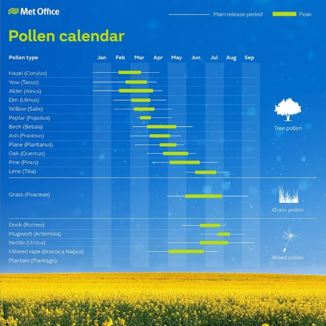 what is the pollen level today