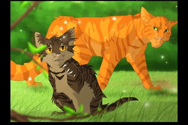 what warrior cat are you quiz