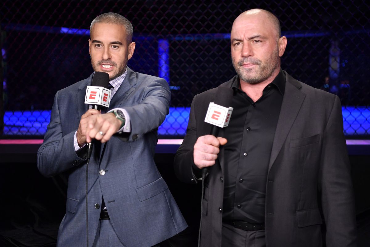 when did joe rogan start ufc