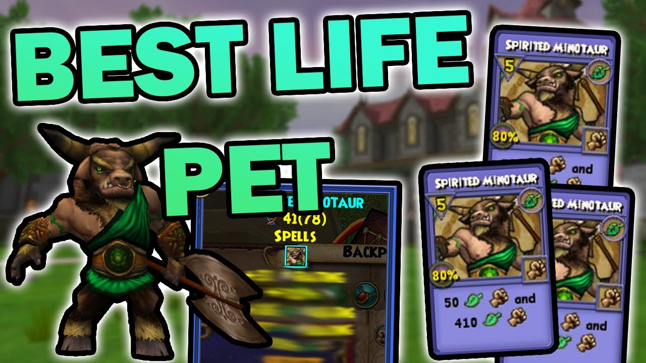 wizard101 coolest pets