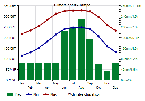 yearly weather in tampa florida