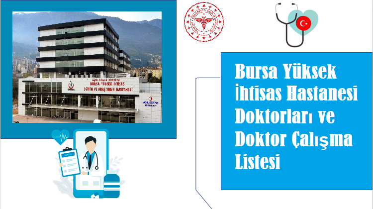 yüksek ihtisas doktor çalışma listesi