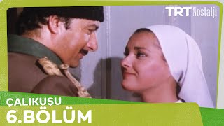 çalıkuşu 6 bölüm aydan şener