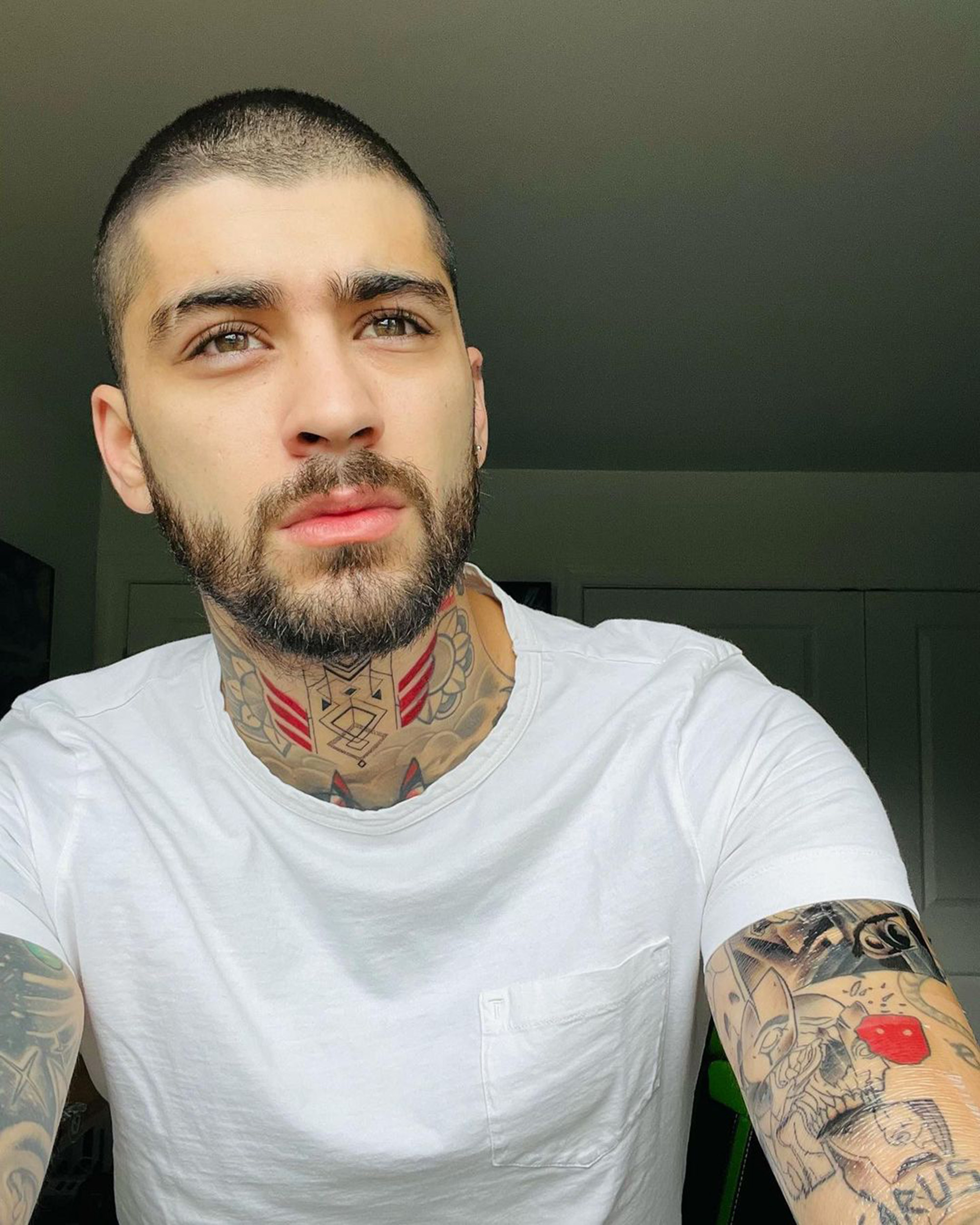 zayn malik 2023