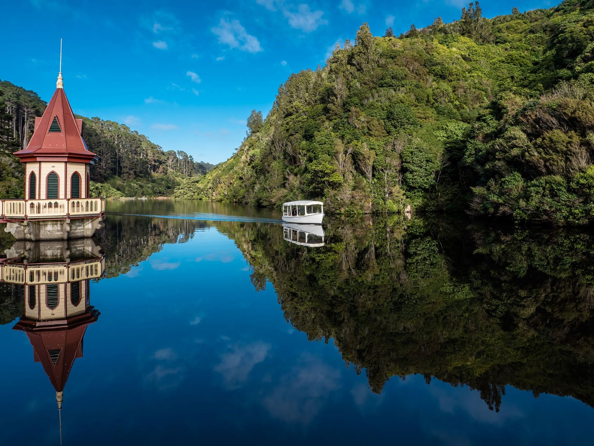 zealandia ecosanctuary