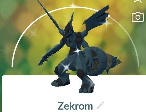 zekrom shiny