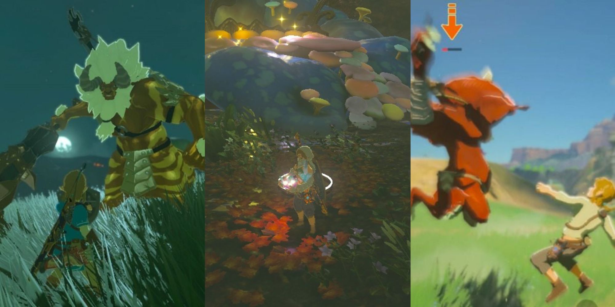 zelda botw master mode