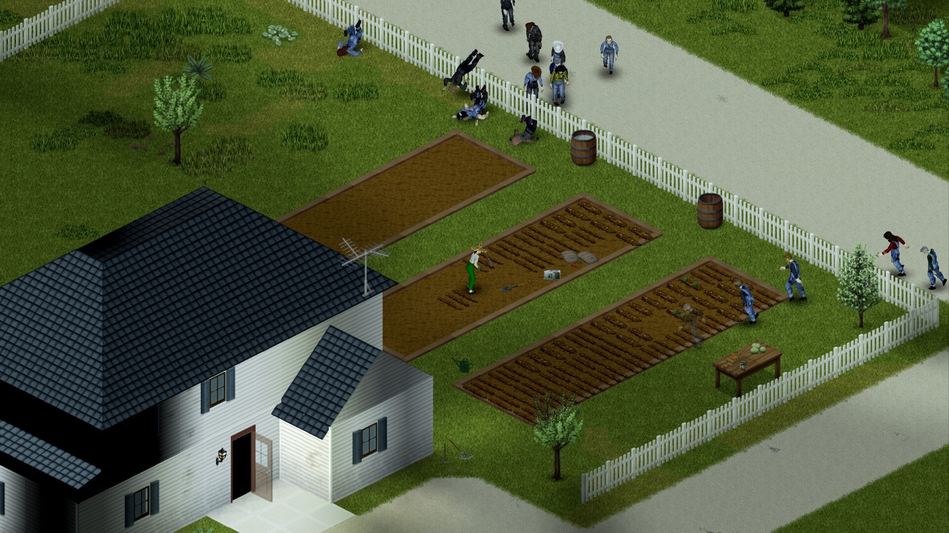 zomboid